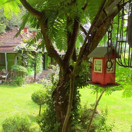 Etno-Kuca "Leka" Klisura Villa Despotovac Exteriör bild