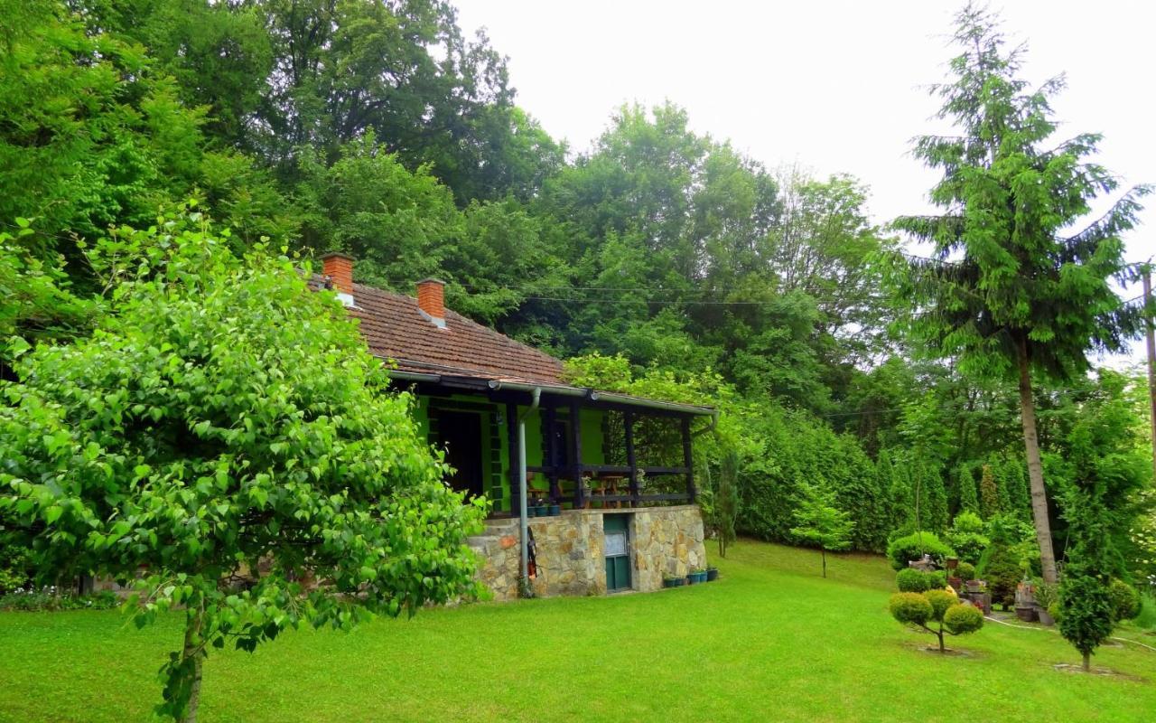 Etno-Kuca "Leka" Klisura Villa Despotovac Exteriör bild