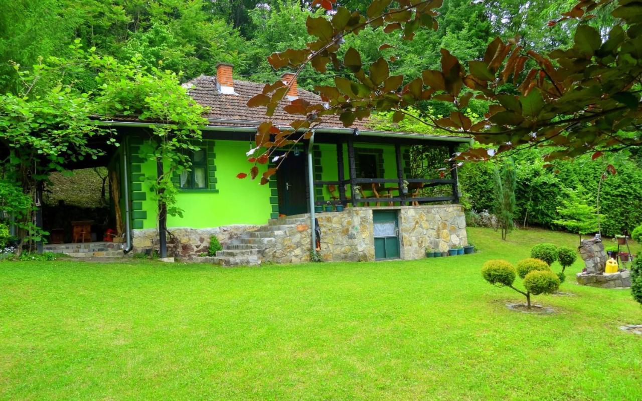 Etno-Kuca "Leka" Klisura Villa Despotovac Exteriör bild
