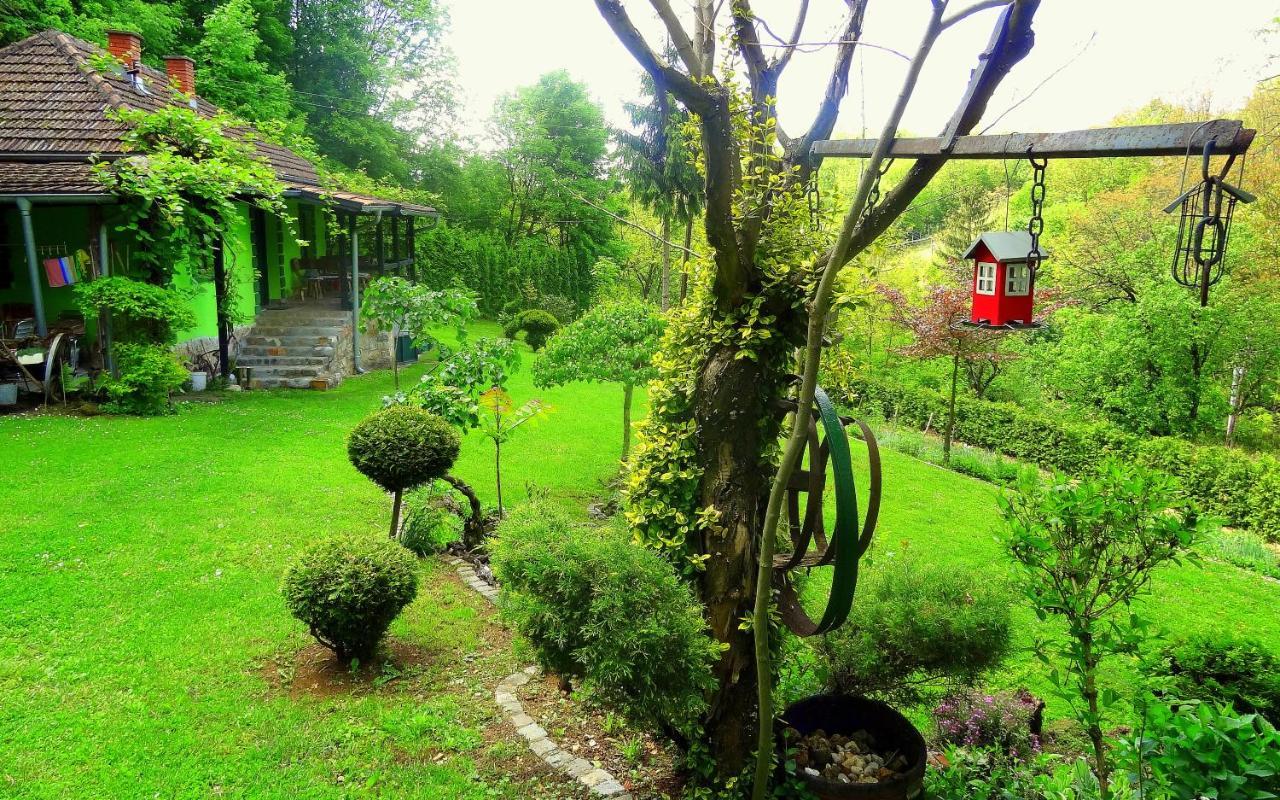 Etno-Kuca "Leka" Klisura Villa Despotovac Exteriör bild