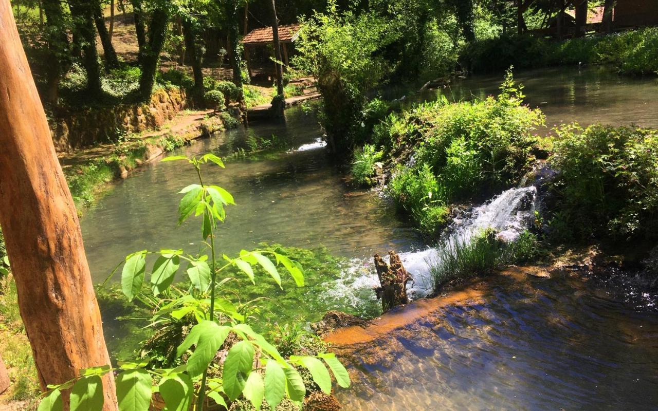 Etno-Kuca "Leka" Klisura Villa Despotovac Exteriör bild