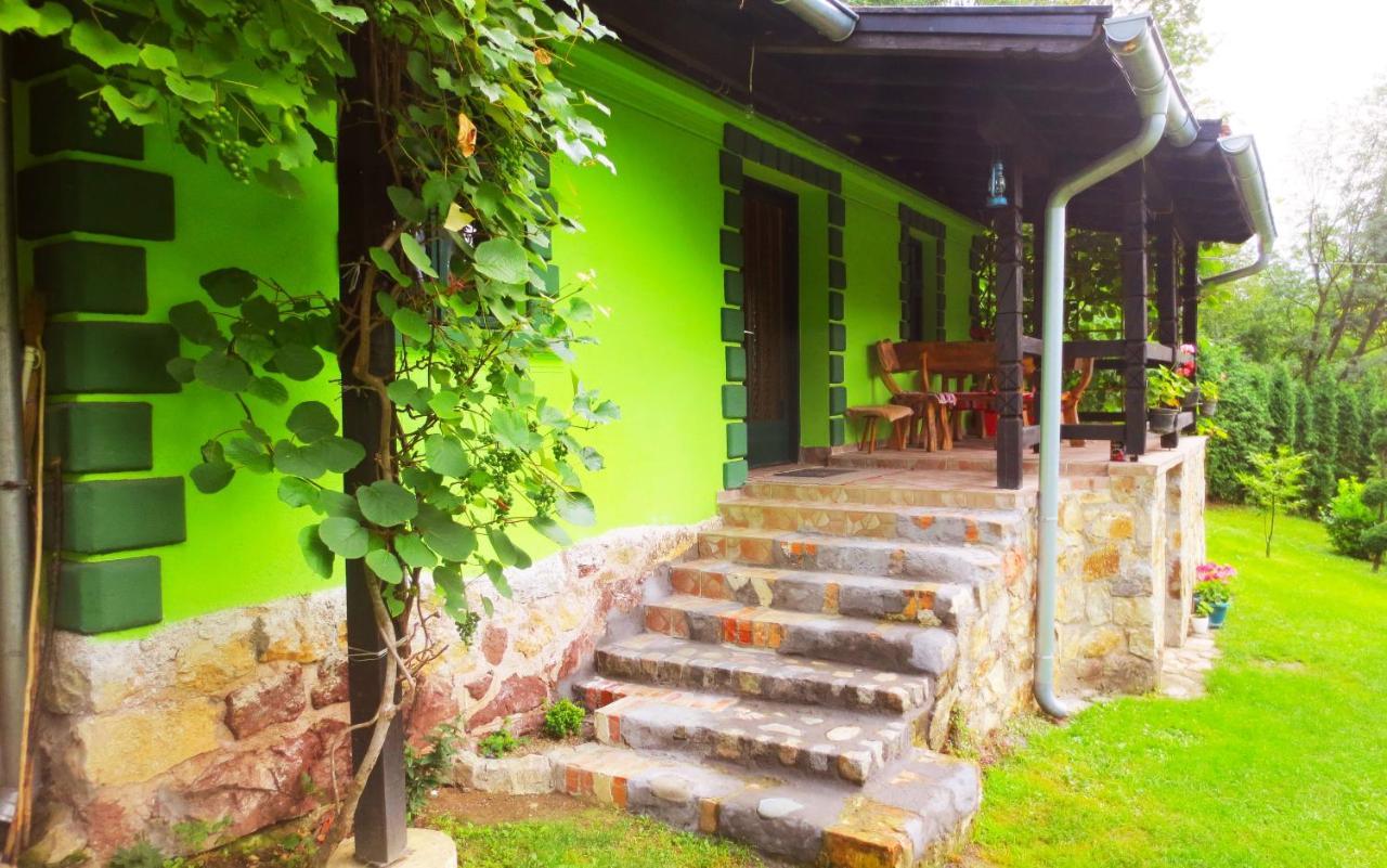 Etno-Kuca "Leka" Klisura Villa Despotovac Exteriör bild