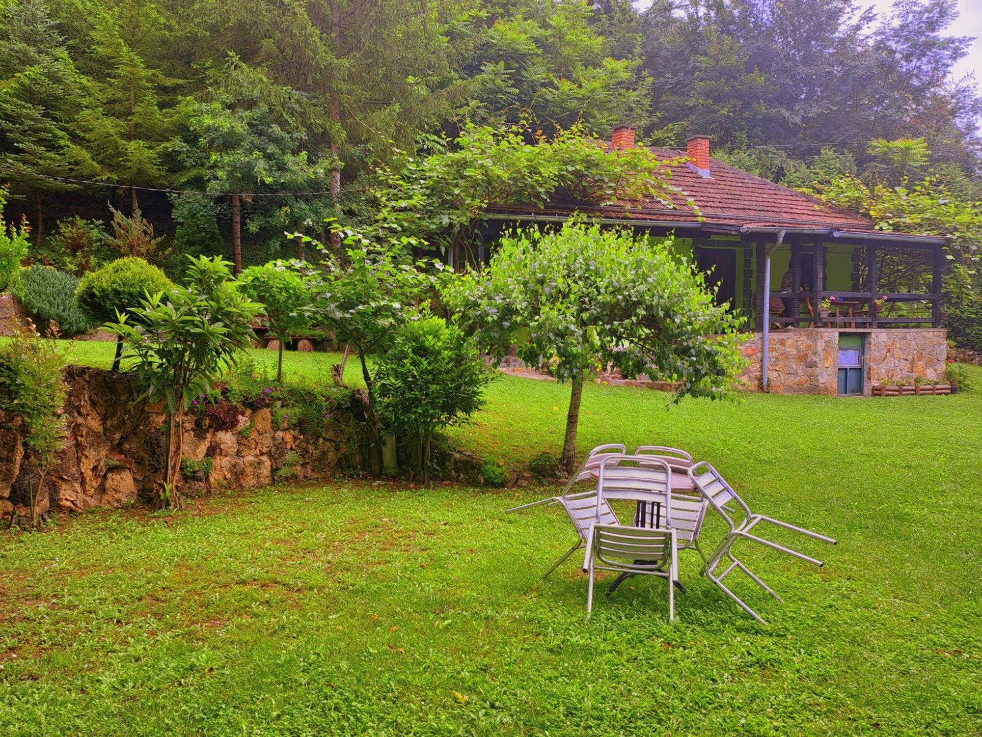 Etno-Kuca "Leka" Klisura Villa Despotovac Exteriör bild