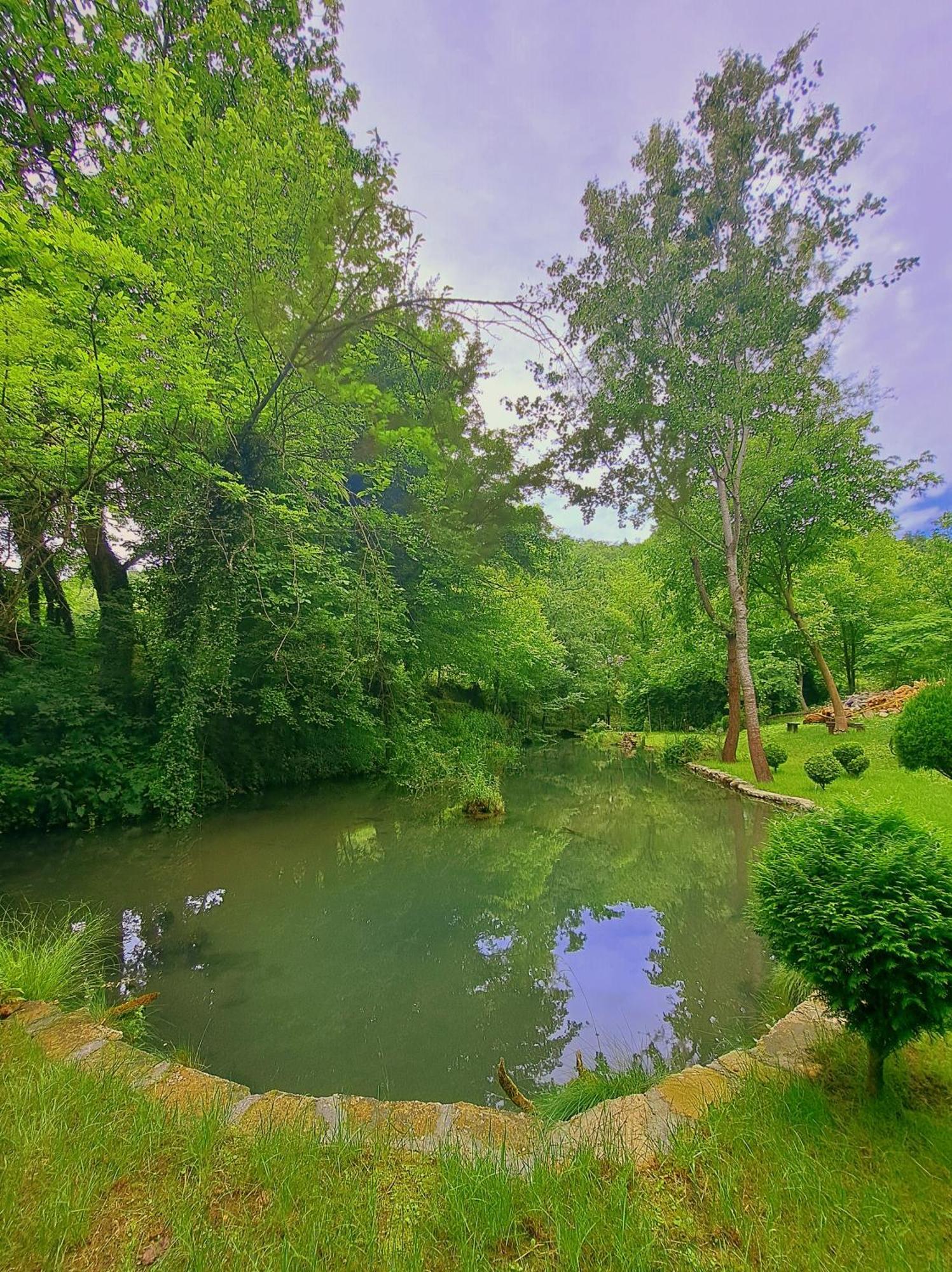 Etno-Kuca "Leka" Klisura Villa Despotovac Exteriör bild