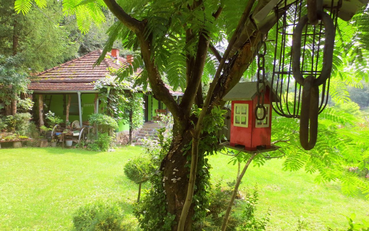 Etno-Kuca "Leka" Klisura Villa Despotovac Exteriör bild