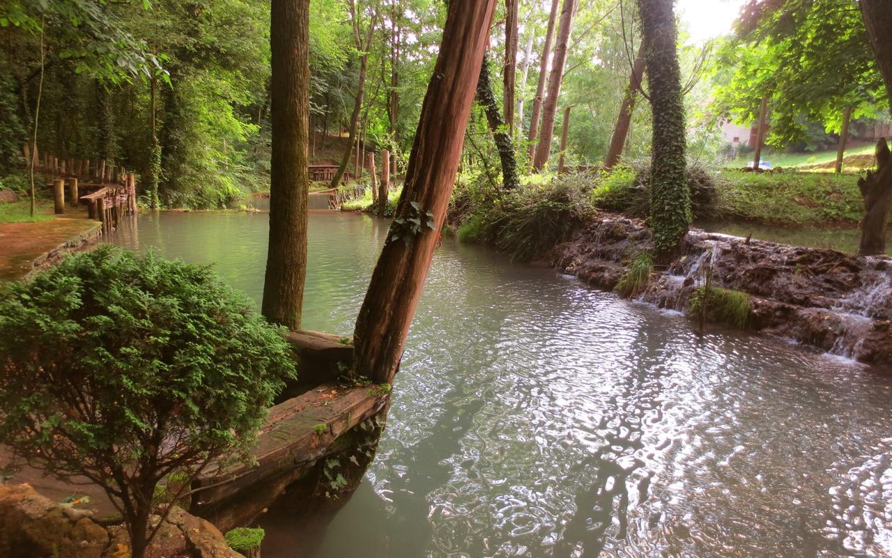 Etno-Kuca "Leka" Klisura Villa Despotovac Exteriör bild