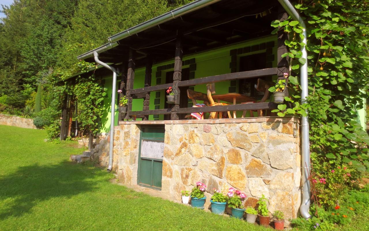 Etno-Kuca "Leka" Klisura Villa Despotovac Exteriör bild