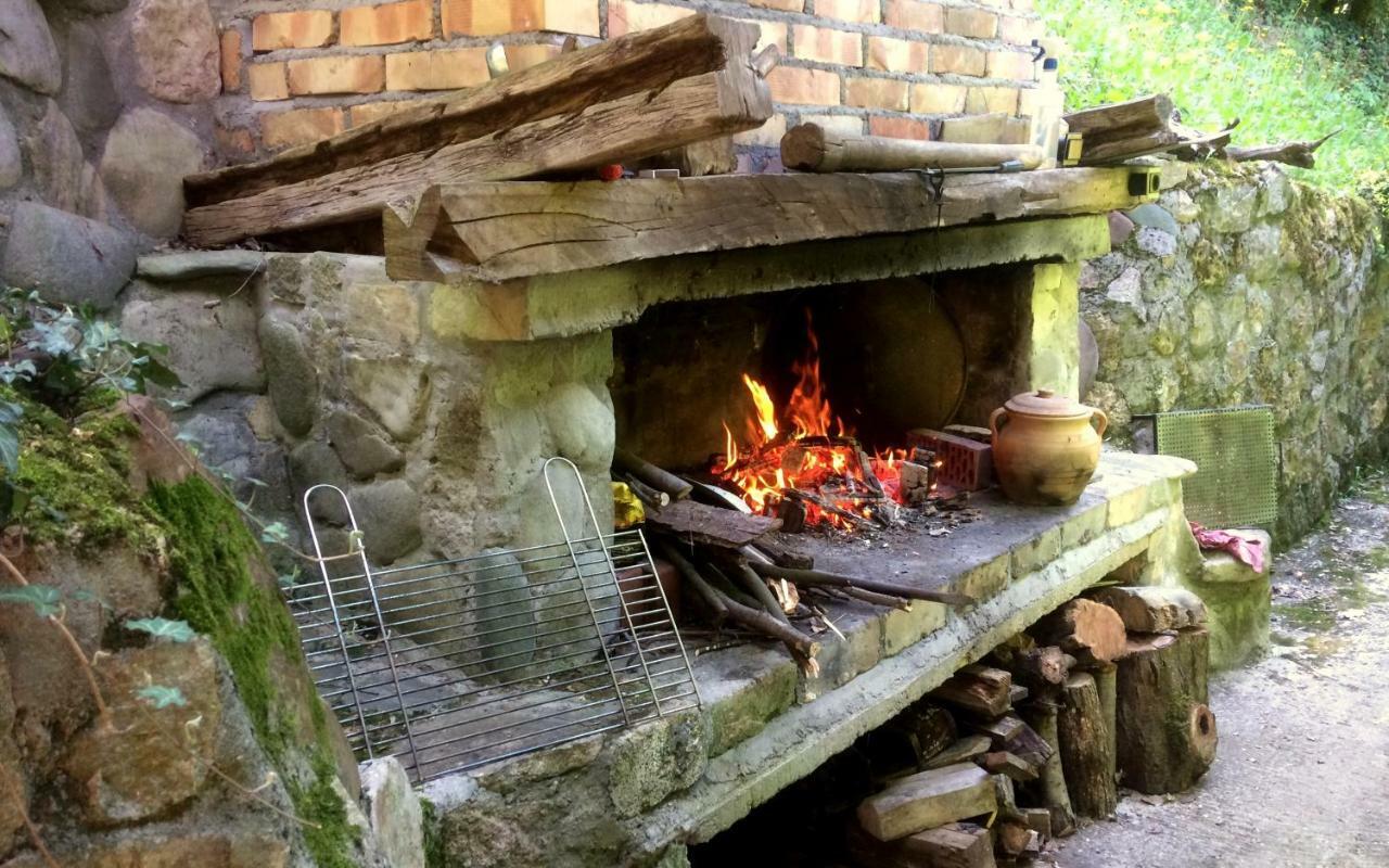 Etno-Kuca "Leka" Klisura Villa Despotovac Exteriör bild