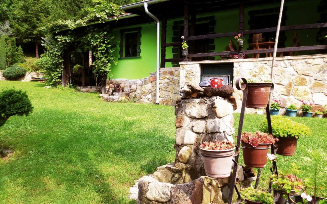 Etno-Kuca "Leka" Klisura Villa Despotovac Exteriör bild